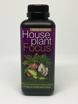 House plant Focus 500ml